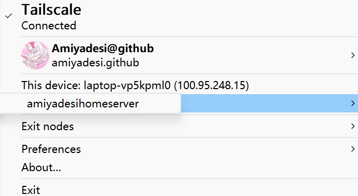 amiyadesi的homeserver组网成功